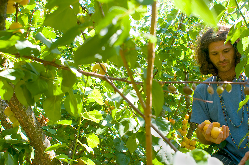 a photo story about a hippie commune
