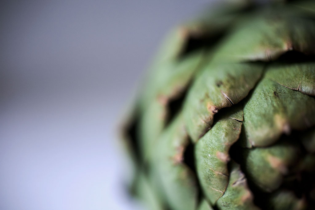 a photography project compare food texture and the human body